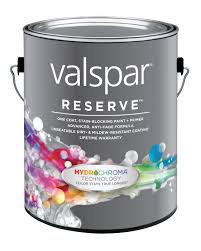 gallon of Valsoar paint